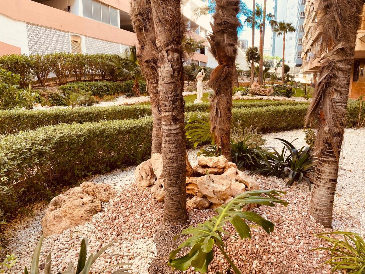 Be Luxury Apartment 20 Mts From The Beach ベニドルム エクステリア 写真