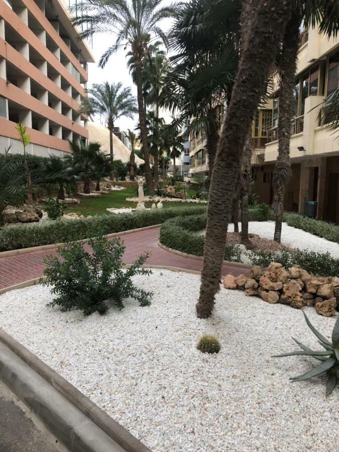 Be Luxury Apartment 20 Mts From The Beach ベニドルム エクステリア 写真